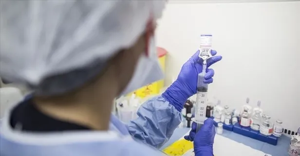 Meme kanserinin ilacı Yeni Zellanda'dan! Manuka balı mucizesi