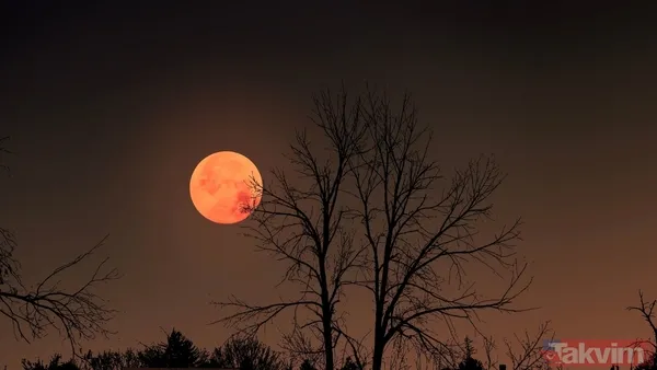 Aşk, kariyer ve ilişkilerde yeni dönem! 7 Eylül Ay tutulmasında 4 burç hayatında şok etkilerini hissedecek - 6