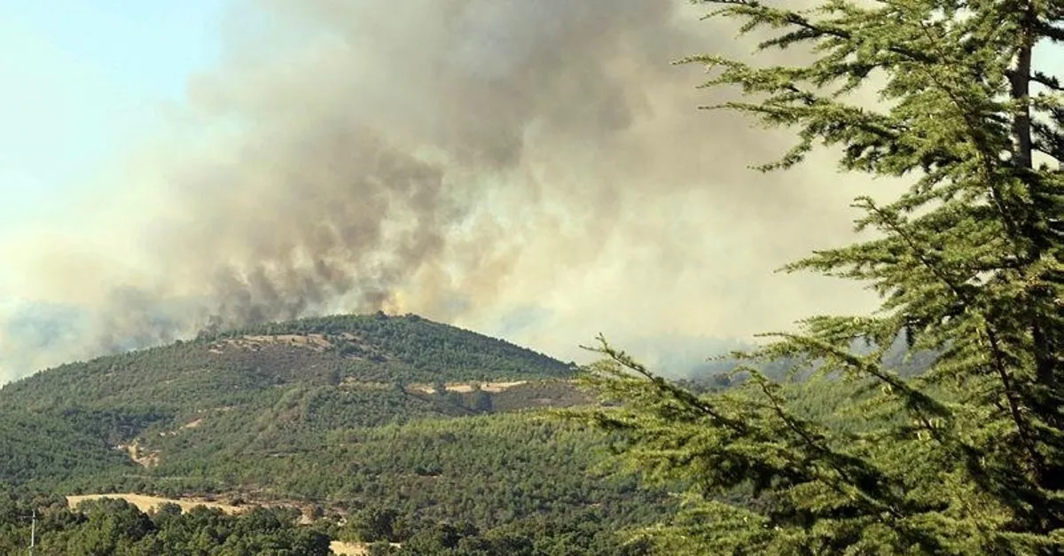 Son Dakika Usak Ta Orman Yangini Kontrol Altina Alindi Takvim