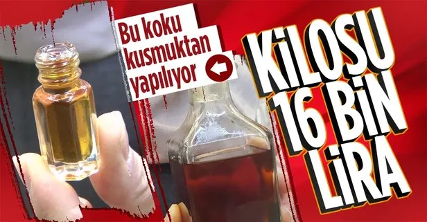 Kilosu 16 bin TL! Bu koku kusmuktan yapılıyor