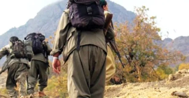 Hakkari’de PKK’lı terörist teslim oldu