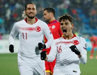 Yerli ve milli harekat