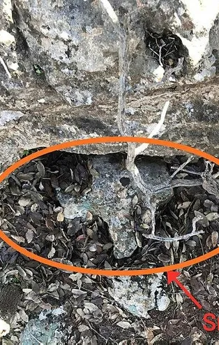 Son dakika: PKK'nın Irak ve Suriye'de kullandığı lav silahı Mardin'de ele geçirildi