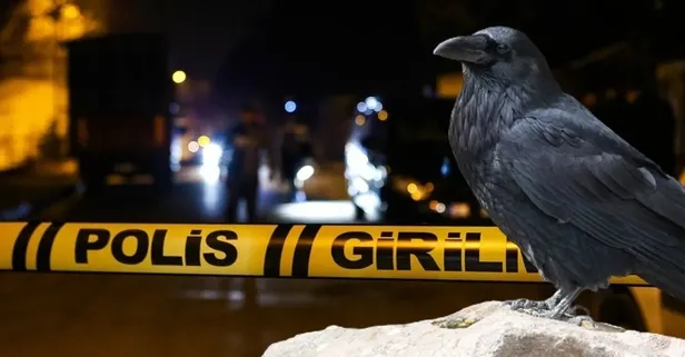 Son dakika: İstanbul Eyüpsultan'da kesik parmak olayı! Kargalar bulmuştu, otopsi raporu ortaya çıktı