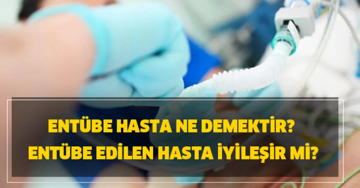 entube edilen hasta iyilesir mi entube nedir entube hasta ne demektir takvim entube edilen hasta iyilesir mi entube nedir entube hasta ne demektir takvim