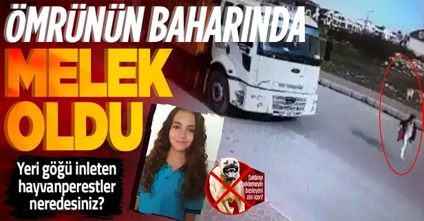 SON DAKİKA! Başıboş köpek saldırısından kaçan Mahra Melin Pınar’dan acı haber! Yaşam mücadelesini kaybetti