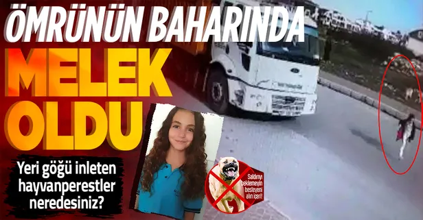 SON DAKİKA! Başıboş köpek saldırısından kaçan Mahra Melin Pınar'dan acı haber! Yaşam mücadelesini kaybetti