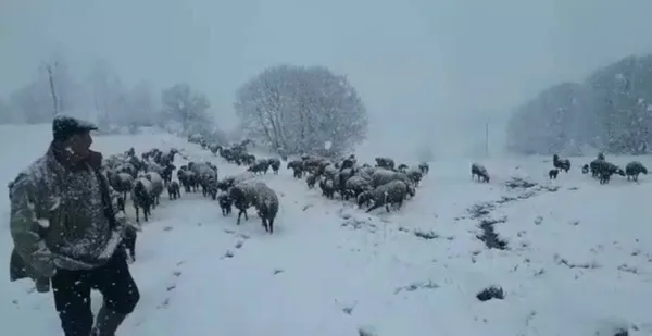 dogu-anadolu-degil-artvin-savsat-ve-ardanuca-mayista-kar-yagdi-1651755048007.jpg Doğu Anadolu değil! Artvin Şavşat ve Ardanuç'a mayısta kar yağdı-9
