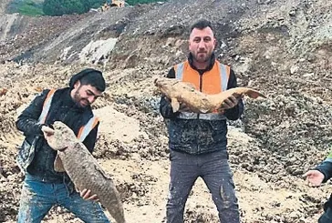 Mavi Göl felaketi! Ekosistem 185 milyon ton kaçak dökümle doğayı katletti