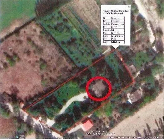 CHP'li Yılmaz Büyükerşen’in eşi Seyhan Büyükerşen adına yapılan kaçak villaya ceza! Ruhsat alınamazsa yıkılacak!-3