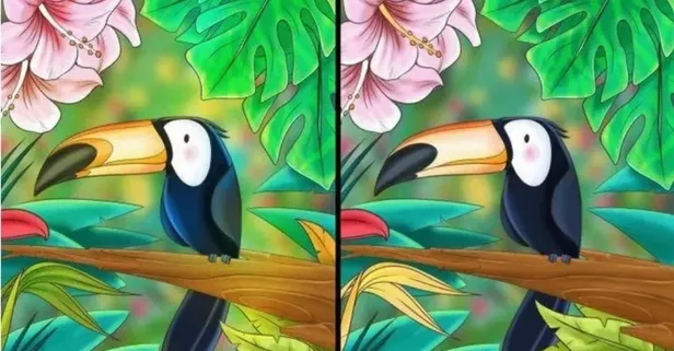 Kendi zekanı test et 4 farkı bul 20 saniyede 4 gizli farkı ortaya çıkartabilir misin?