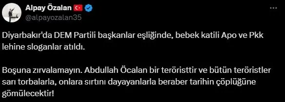 teror-orgutu-uzantisi-dem-parti-ve-pkk-yandaslarindan-alcak-provokasyon-bebek-katiline-ozgurluk-sloganlari-ak-1728825281367.jpeg