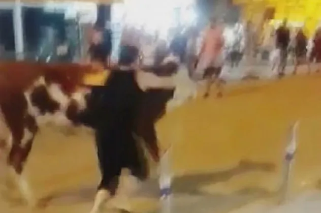 Sahilde kaçak boğa paniği