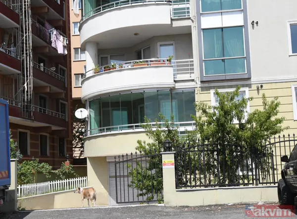 'Daire 16' sözleriyle gündem oldu! Köpük yerinde kalacak - 30