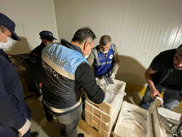 istanbulda-balik-haline-boy-yasagi-baskini-8-ton-795-kilogram-baliga-el-konuldu-1631170983044.jpg