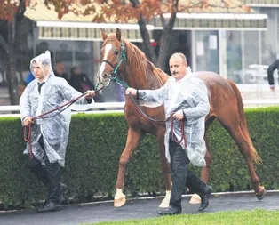 Ev fiyatına satıldı