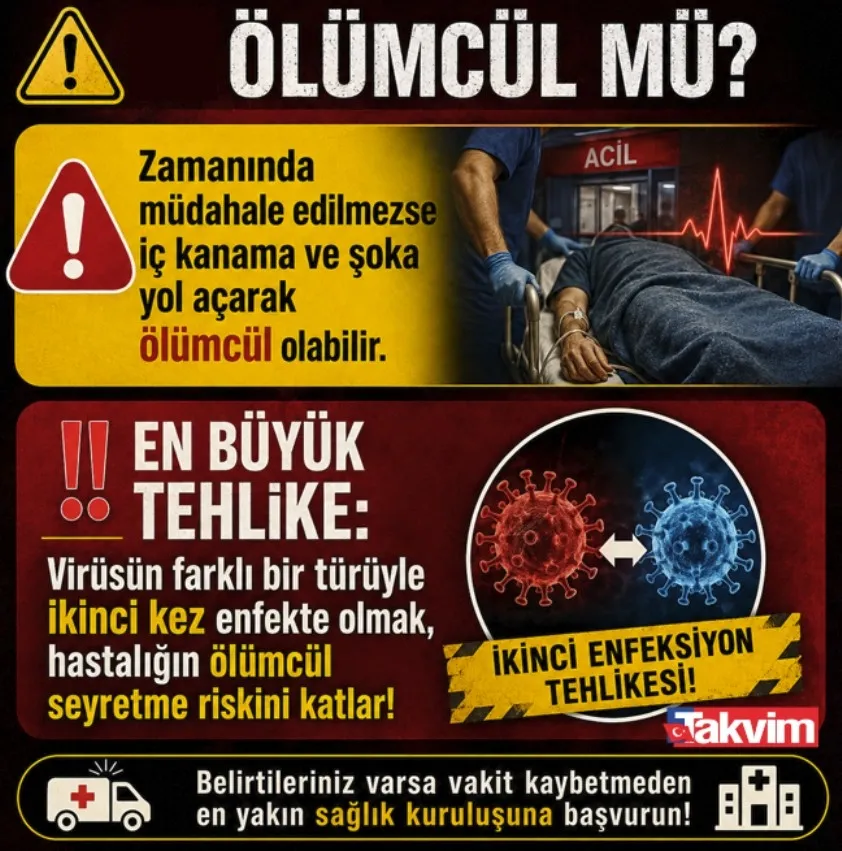 1786727132417.jpeg Dang virüsü nedir, bulaşıcı mı? Aramızdaki o canlıya dikkat edin!-3