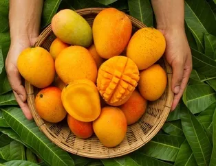 Çölyak glüten dostu