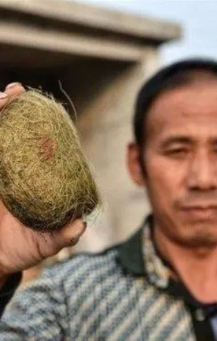 İnsanların bulduğu en ilginç şeyler