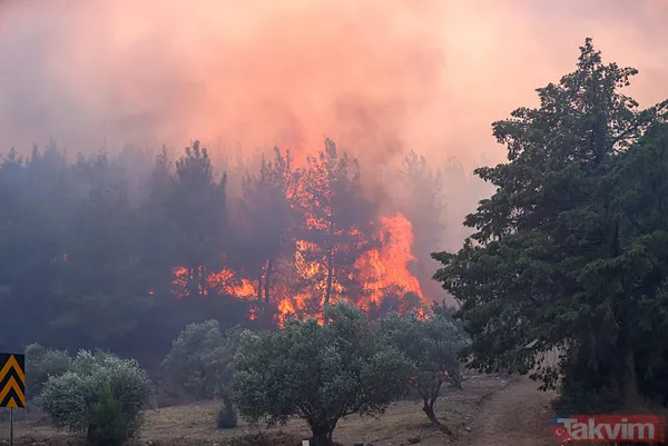 İzmir ve diğer illerde alevler kontrol altına alındı! Menderes'i yakan 'hobi' Çeşme'de izmarit izi: Bakan 'haftaya dikkat' diyerek uyardı - 28