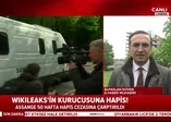 Julian Assange'ın cezası belli oldu