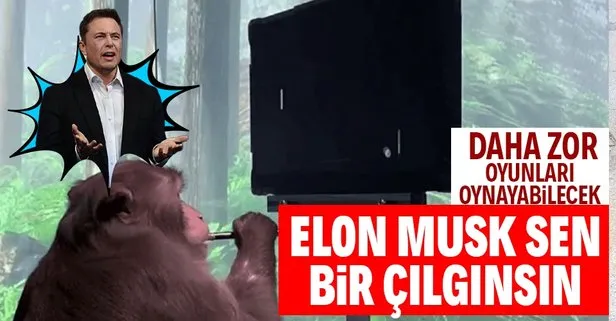 Neuralink'in beyin çipi maymun üzerinde denendi
