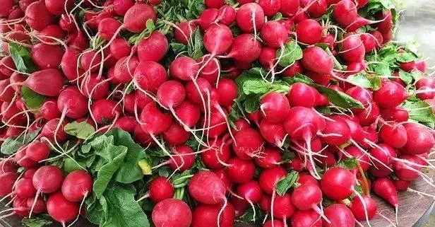 Turpun faydaları nelerdir?