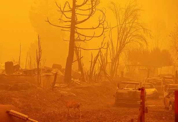 abdnin-california-eyaletindeki-orman-yangini-sondurulemiyor-8-kisi-kayboldu-1628370360118.jpeg ABD'nin California eyaletindeki orman yangını söndürülemiyor: 8 kişi kayboldu-3