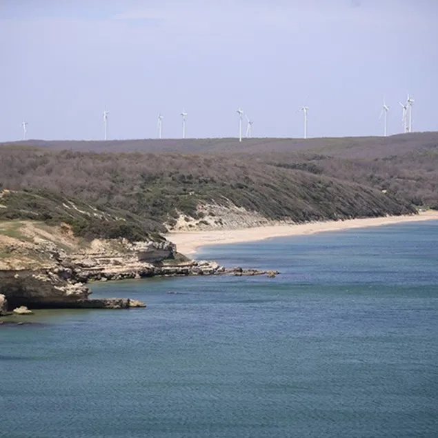 Denize ’Vize’ yok!