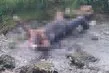 Cezaevinden izinli çıktı bir daha dönmedi! Firari olarak aranan Yılmaz Kayık’ın cesedi bulundu