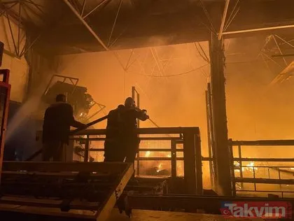 Alev alev! Düzce’de mobilya fabrikasında yangın...