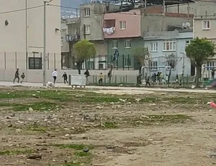 Mahalleli gördü hemen polisi aradı! Çil yavrusu gibi dağıldılar