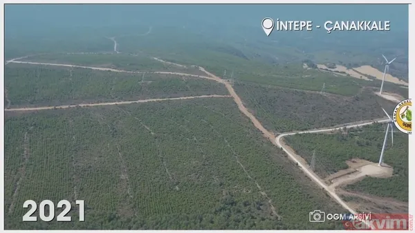 Orman Genel Müdürlüğü paylaştı! İşte yanan ormanların eski ve yeni hali: İzmir, Muğla, Çanakkale ve Balıkesir... - 8