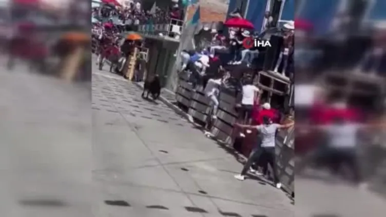 Meksika’da boğa koşusunda 20 kişi yaralandı