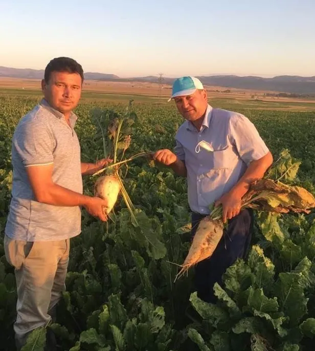 Şekerdeki zammın sebebi stokçular: Bağımlılık bitti üretim tam gaz! Depolar ağzına kadar dolu-7