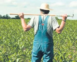 Çiftçiye de halde yer verilecek