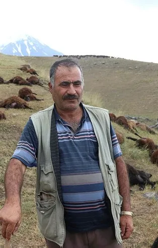 Iğdır'da 74 koyun yıldırımda telef oldu!