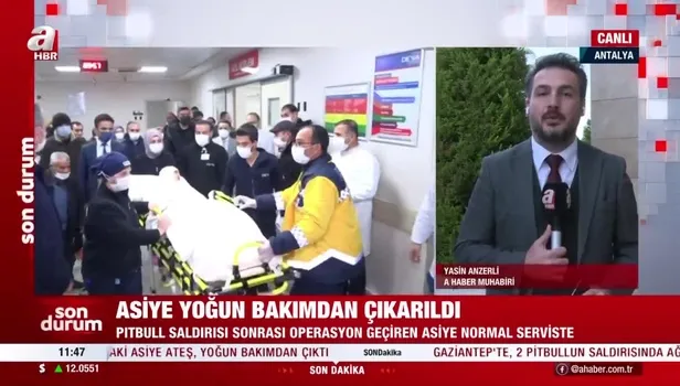 Gaziantep'te 2 pitbull köpeğinin saldırısına uğrayan 4 yaşındaki Asiye Ateş'ten son dakika sevindiren haber! Yoğun bakımdan...