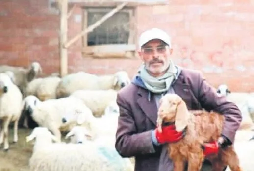 ’Fena’men çoban!