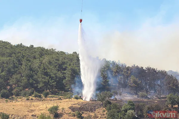 İzmir Bornova'da orman yangını: O yol kapatıldı - 3
