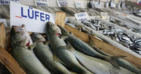 lufer bollasti fiyat dustu takvim