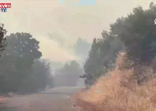Çanakkale Ayvacık Ahmetçe’de orman yangını