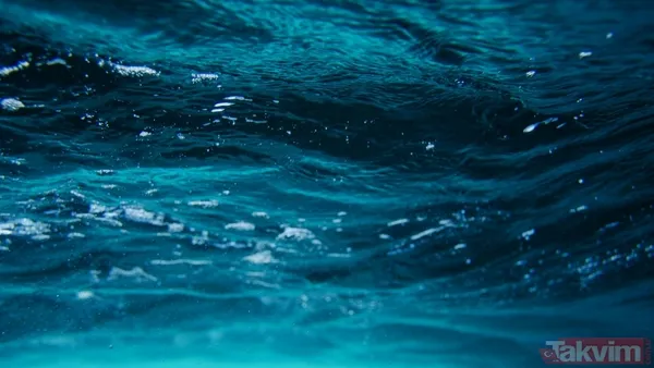 Titanic böyle yapılsaydı batmaz mıydı? Bilim dünyasını heyecanlandıran örümcek taktiği - 6