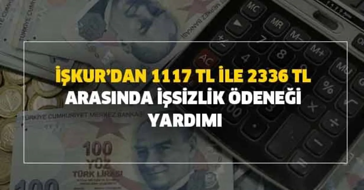 12 Ay Issiz Kalanin Borcunu Sigorta Sirketi Odeyecek Son Dakika Ekonomi Haberleri