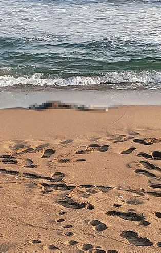Sakarya sahilinde korkunç olay! Karaya vurdu görenler dehşete düştü