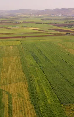 Varlık Fonu’ndan arsa hamlesi