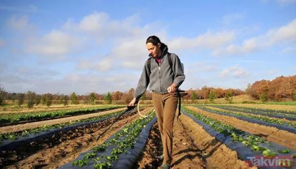 Çiftçiye mazot, yem ve gübre desteği! Tarım ve Orman Bakanı Vahit Kirişci açıkladı! Nasıl yararlanılacak? İşte detaylar... - 8
