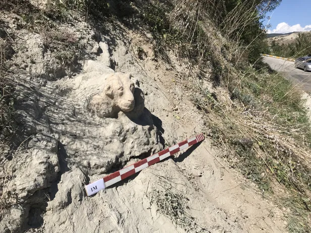 Polis, aslan figürlü kaya parçası için 3 gün nöbet tuttu-1