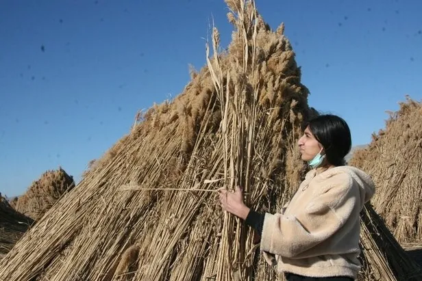 Bu köyün sakinleri paraya para demiyor! Bir haftada 500.000 TL kazandılar! Bu işin getirisi çok yüksek-2