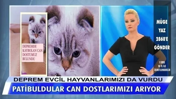 MÜGE ANLI SON BÖLÜM ATV İZLE! Arzu Karadeniz 27 yıl sonra öğrendiği gerçekle Müge Anlı'ya koştu...-3